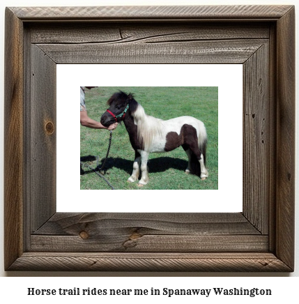 horse trail rides near me in Spanaway, Washington